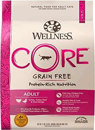 Wellness CORE Grain-Free Turkey, Turkey Meal & Duck Formula Dry Cat Food, 11 Pound Bag