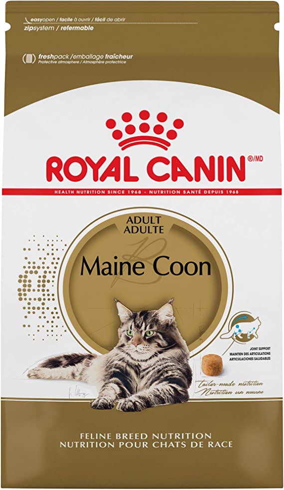 Royal Canin Feline Breed Nutrition Maine Coon Adult Dry Cat Food