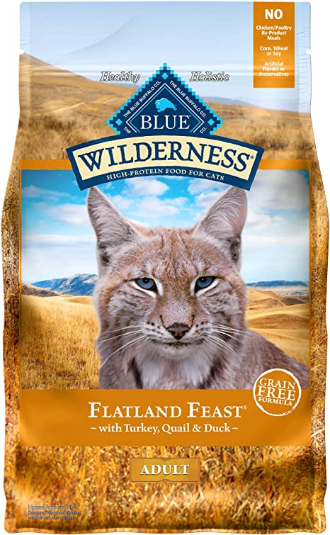 Blue Buffalo Wilderness High Protein, Natural Adult Dry Cat Food, Flatland Feast with Turkey, Quail & Duck 4lb