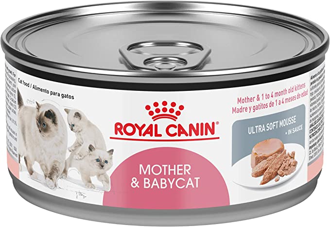 Royal Canin Feline Health Nutrition Mother & Babycat Ultra Soft Mousse in Sauce Canned Cat Food, 5.8 oz can