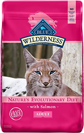 Blue Buffalo Wilderness High Protein, Natural Adult Dry Cat Food, Salmon 11-lb