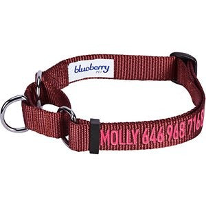 Blueberry Pet Safety Training Personalized Martingale Dog Collar, Fired Brick, Large: 18 to 26-in neck, 1-in wide