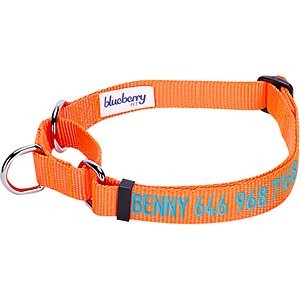 Blueberry Pet Safety Training Personalized Martingale Dog Collar, Florence Orange, Large: 18 to 26-in neck, 1-in wide