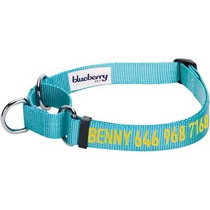 Blueberry Pet Safety Training Personalized Martingale Dog Collar, Medium Turquoise, Large: 18 to 26-in neck, 1-in wide