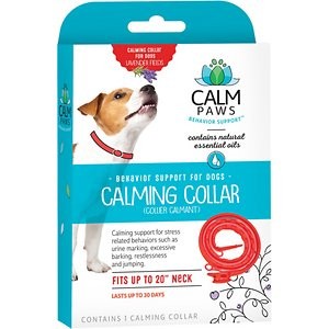 Calm Paws Essentials Serene Pet Dog Collar