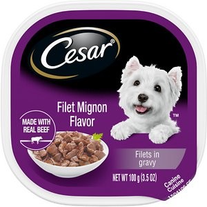 Cesar Filets in Gravy Filet Mignon Flavor Dog Food Trays, 3.5-oz, case of 24