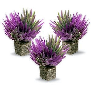 Current USA Weighted Base Mini Shrubs Aquarium Plant, 3 count, Purple