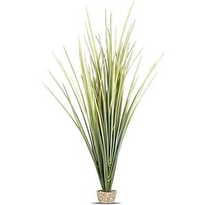 Current USA Extra Tall Reed Grass Aquarium Plant