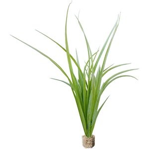 Current USA Fountain Grass Aquarium Plant, Light Green