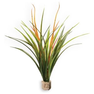 Current USA Fountain Grass Aquarium Plant, Green/Orange