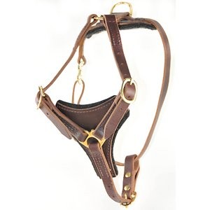 Dean & Tyler Dean's Choice Leather Dog Harness, Medium, Brown