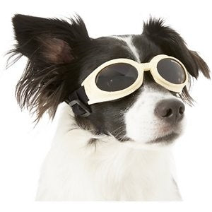 Doggles Originalz Dog Goggles, Chrome, Small