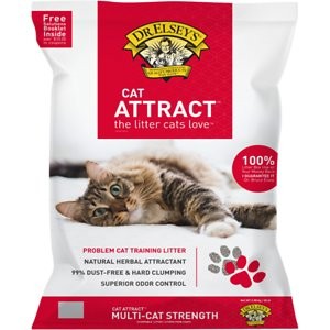 Dr. Elsey's Precious Cat Attract Unscented Clumping Clay Cat Litter, 20-lb bag