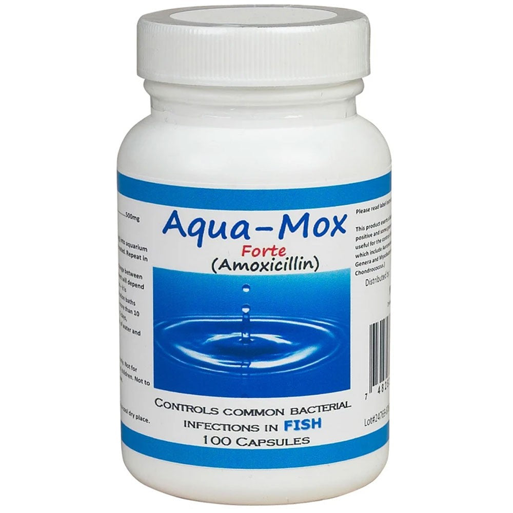 EntirelyPets Pharmacy Aqua-Mox Forte (Amoxicillin) 500mg (100 count)