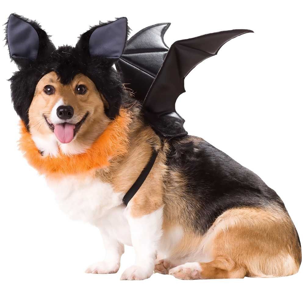 EntirelyPets Pharmacy Animal Planets Bat Dog Costume - Medium