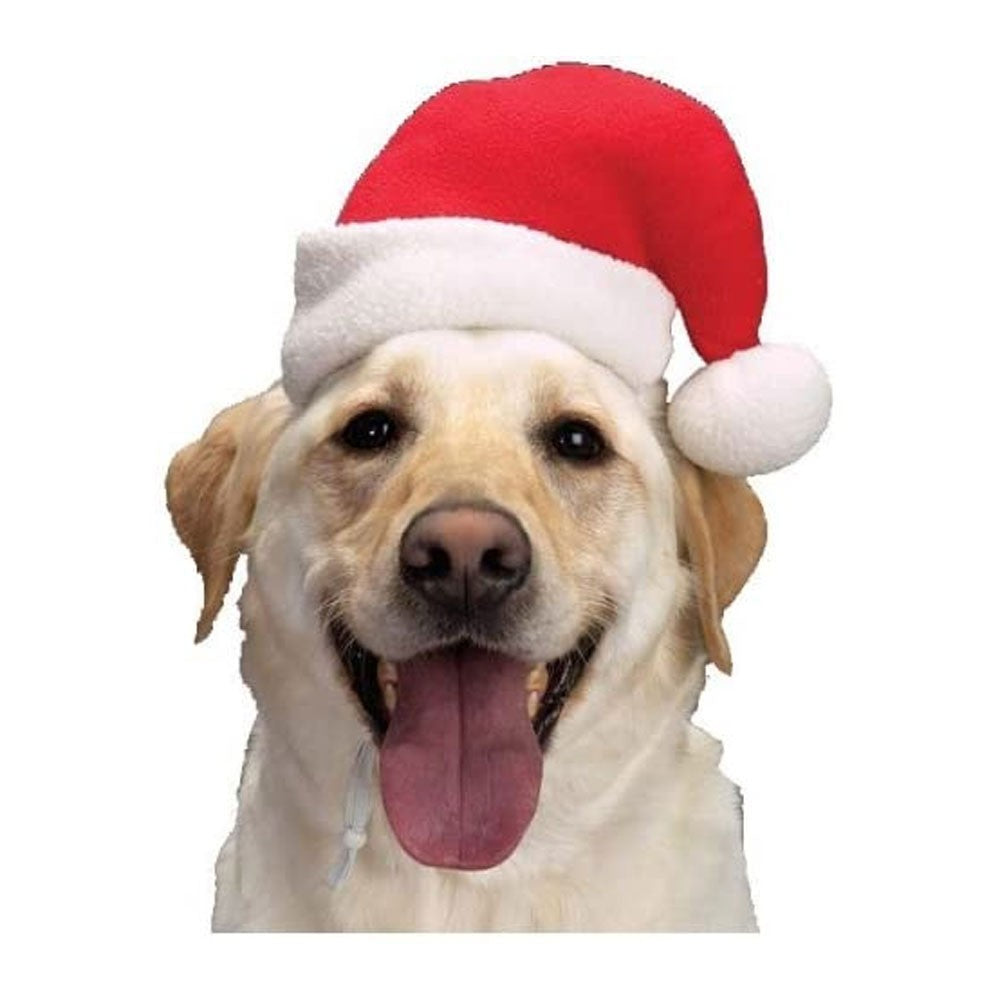 EntirelyPets Pharmacy Aria Santa Hat (Medium)