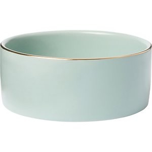 Frisco Modern Gold Rim Ceramic Dog & Cat Bowl, Soft Seafoam, 1.5 Cups