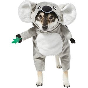 Frisco Front Walking Koala Dog & Cat Costume, Large