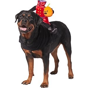 Frisco Headless Rider Dog & Cat Costume, XX-Large