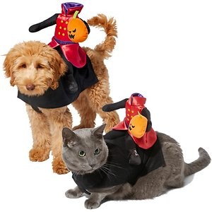 Frisco Headless Rider Dog & Cat Costume, Medium