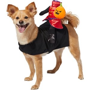 Frisco Headless Rider Dog & Cat Costume, Large