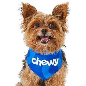 Frisco Chewy Dog & Cat Bandana, X-Small/Small