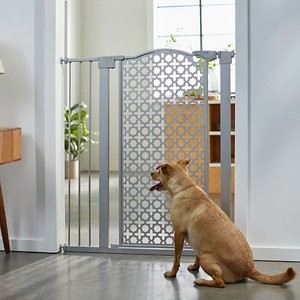 Auto close pet gate best sale