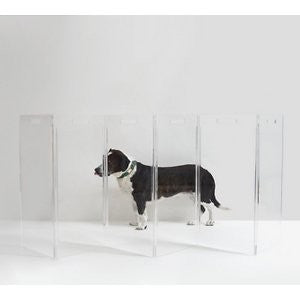 Hiddin Clear View Zig Zag Freestanding Dog Gate, 8-Panel