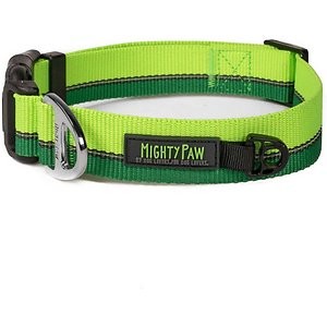 Mighty Paw Standard Reflective Colorblast Dog Collar, Green, Small