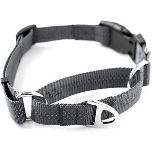 Mighty Paw Nylon Martingale Cinch Dog Collar, Grey, Medium