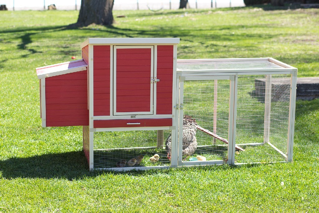 New Age Pet Sonoma Chicken Coop with Pen in Red/Maple - New Age Pet ECHK604