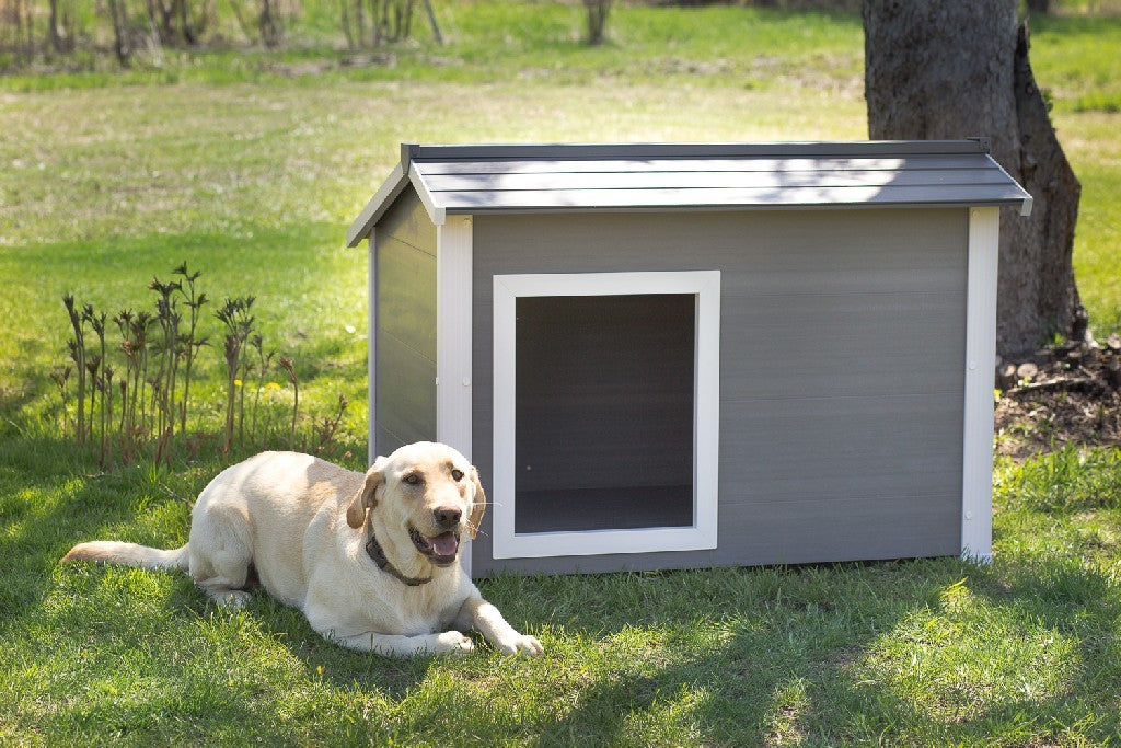 New Age Pet Thermocore Insulated Dog House in Gray - New Age Pet ECOH705XL