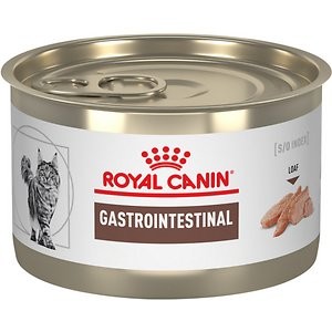 Royal Canin Veterinary Diet Gastrointestinal High Energy Canned Cat Food, 5.1-oz, case of 24