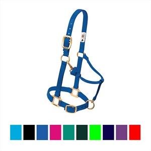 Weaver Leather Original Adjustable Nylon Horse Halter, Blue, Yearling