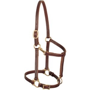 Weaver Leather Track Horse Halter, Mahogany, 3/4-in Cob