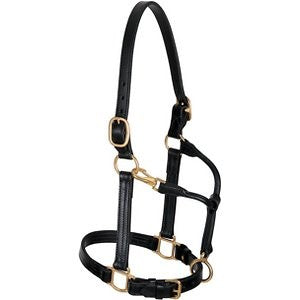 Weaver Leather Track Horse Halter, 1-in