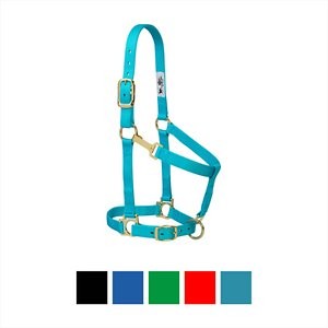 Weaver Leather Basic Adjustable Nylon Horse Halter, Turquoise, Average