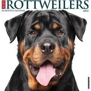 Willow Creek Press Just Rottweiler Puppies 2022 Wall Calendar