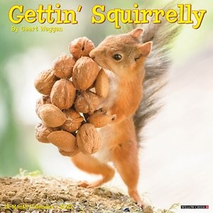 Willow Creek Press Gettin' Squirrelly 2022 Wall Calendar